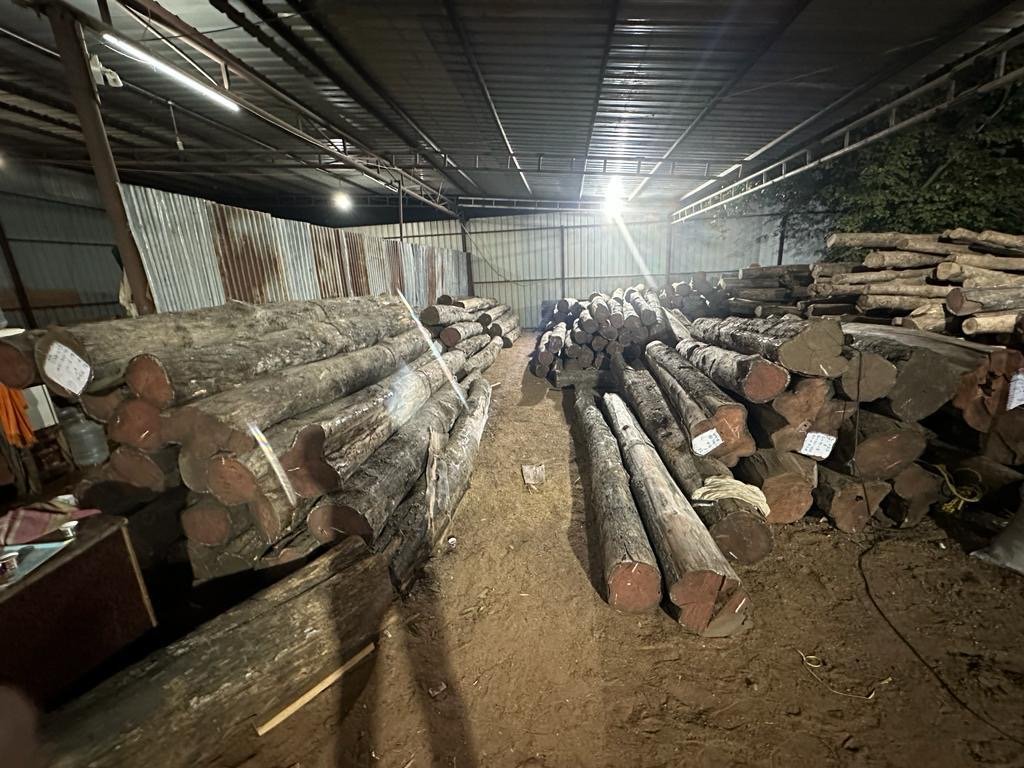 Stacks of raw teak and hardwood logs in storage